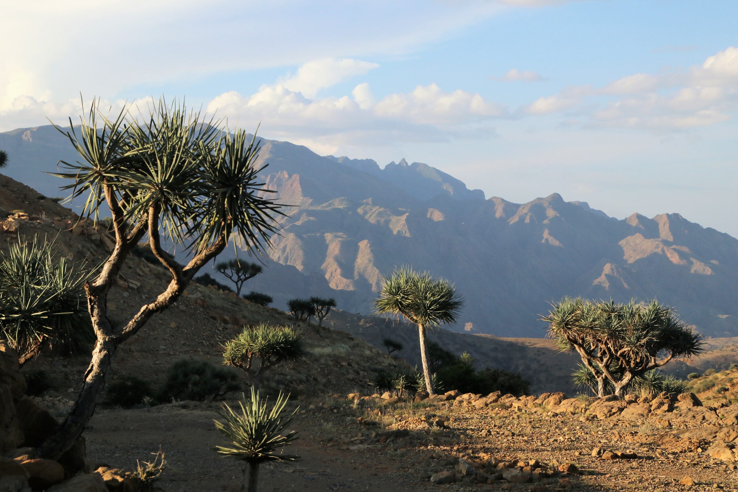 Afar-Region, Bergblick