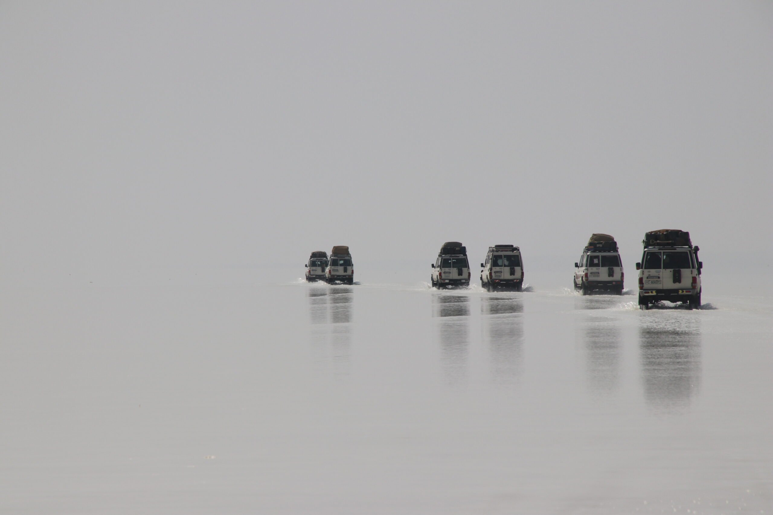 Eine Reisegruppe überquert den großen Salzsee